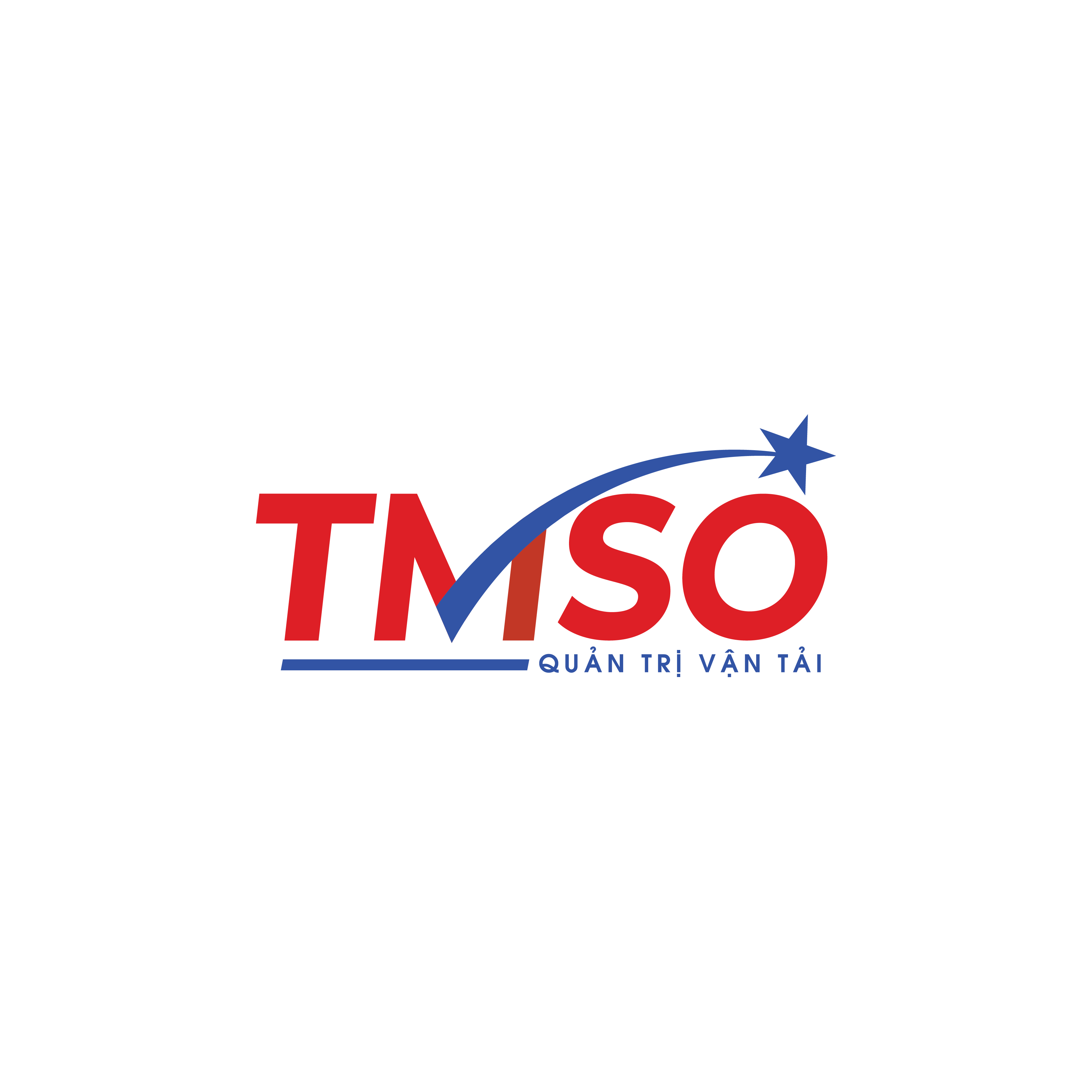 TMSO Logo